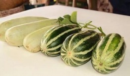 网红瓜在哪吃在哪个网站,揭秘瓜在哪吃，网站一网打尽